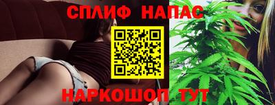 PSILOCYBIN Кимры
