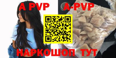 сатива Кингисепп